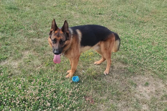 Scopri la Galleria Fotografica